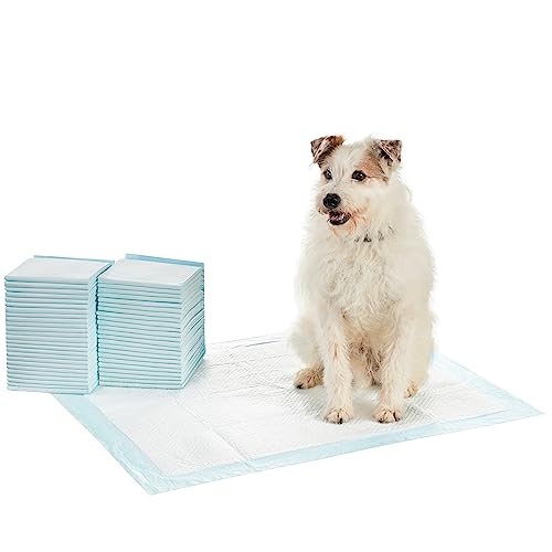 Amazon Basics Dog and Puppy Pee Pads with Leak-Proof Quick-Dry Design for Potty Training, Heavy Duty Absorbency, X-Large, 28 x 34 Inches, Pack of 50, Blue & White